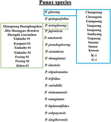 Discrimination of Panax ginseng from counterfeits using single nucleotide polymorphism: A focused review